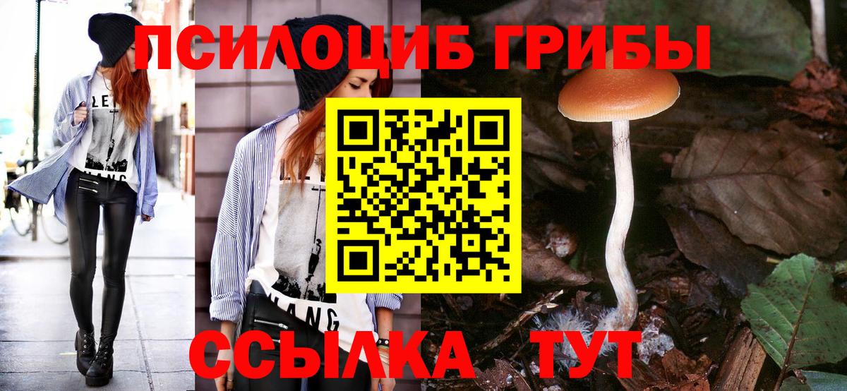 Абинск  Псилоцибиновые грибы Magic Shrooms  Вход с VPN 